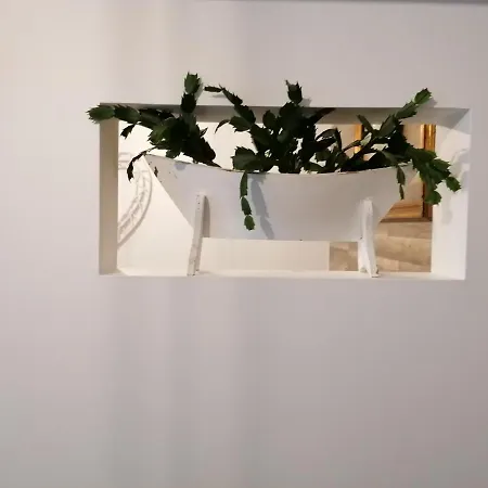 Cantinho Do Ilheu * Ponta Delgada