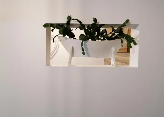 Cantinho Do Ilheu * Ponta Delgada